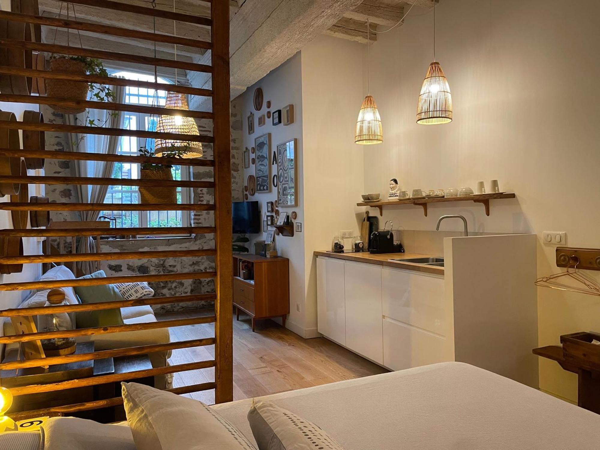 Le Jardin Suspendu Vieux-Lyon - Option Garage Lägenhet Exteriör bild